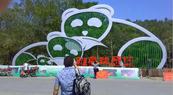 不銹鋼熊貓.gif